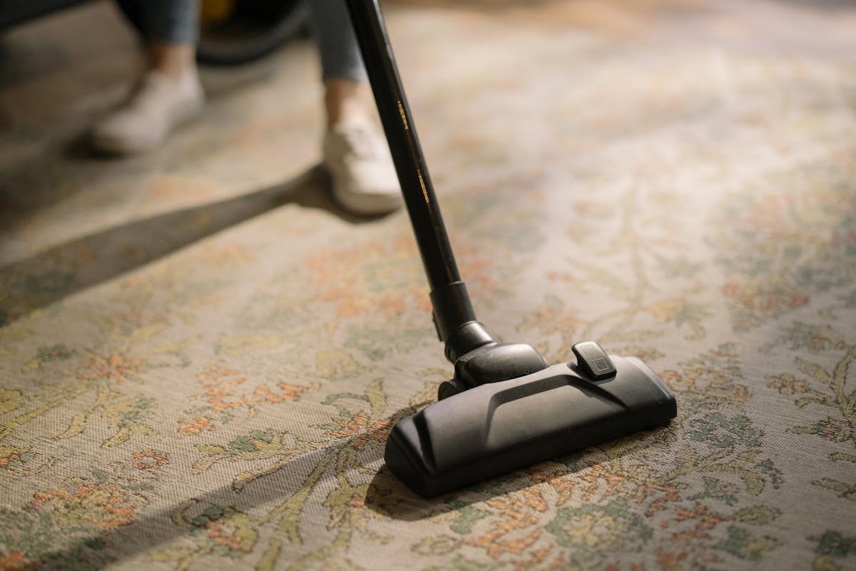 Professional carpet cleaning with steam extraction equipment on area rug