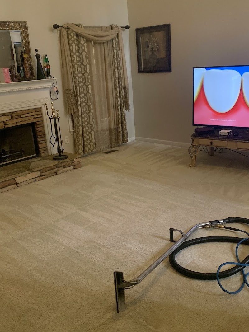 Rug and upholstery cleaning, Dream Steam Atlanta