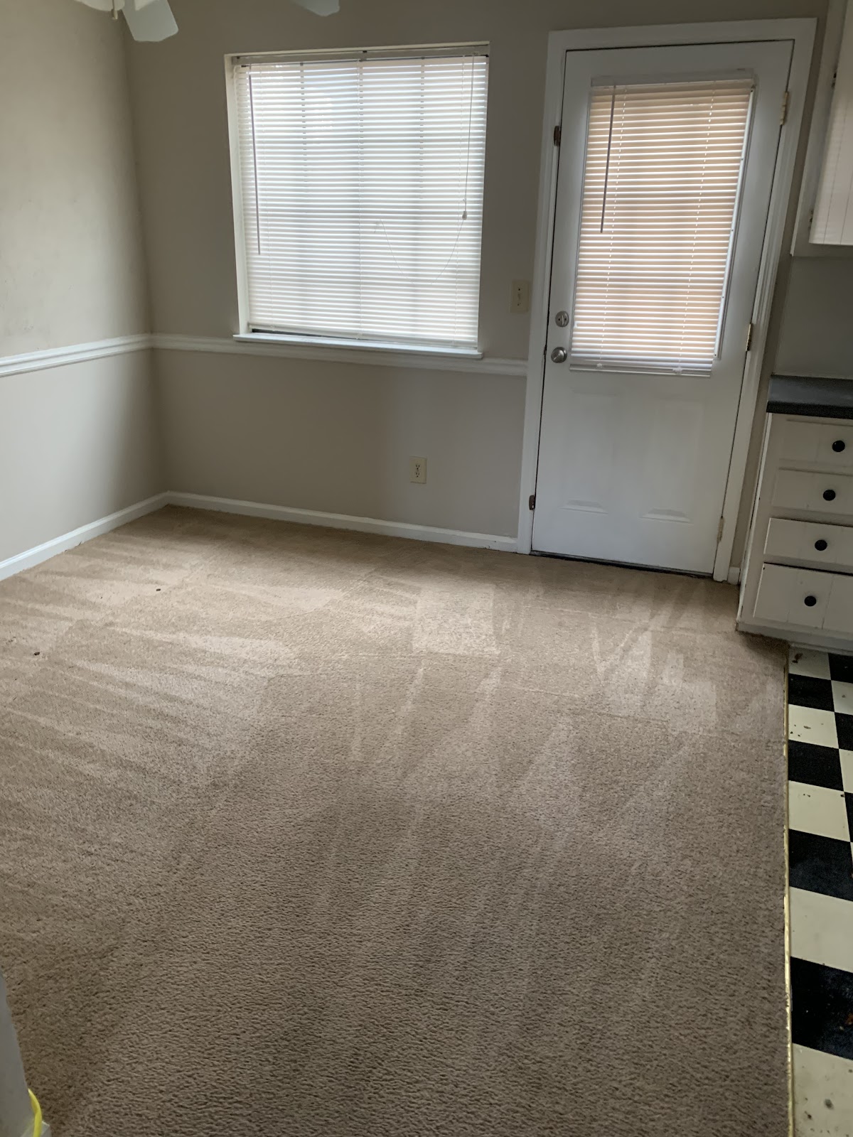 Dream Steam — empty beige carpet in a dining area with crisp vacuum lines after steam cleaning