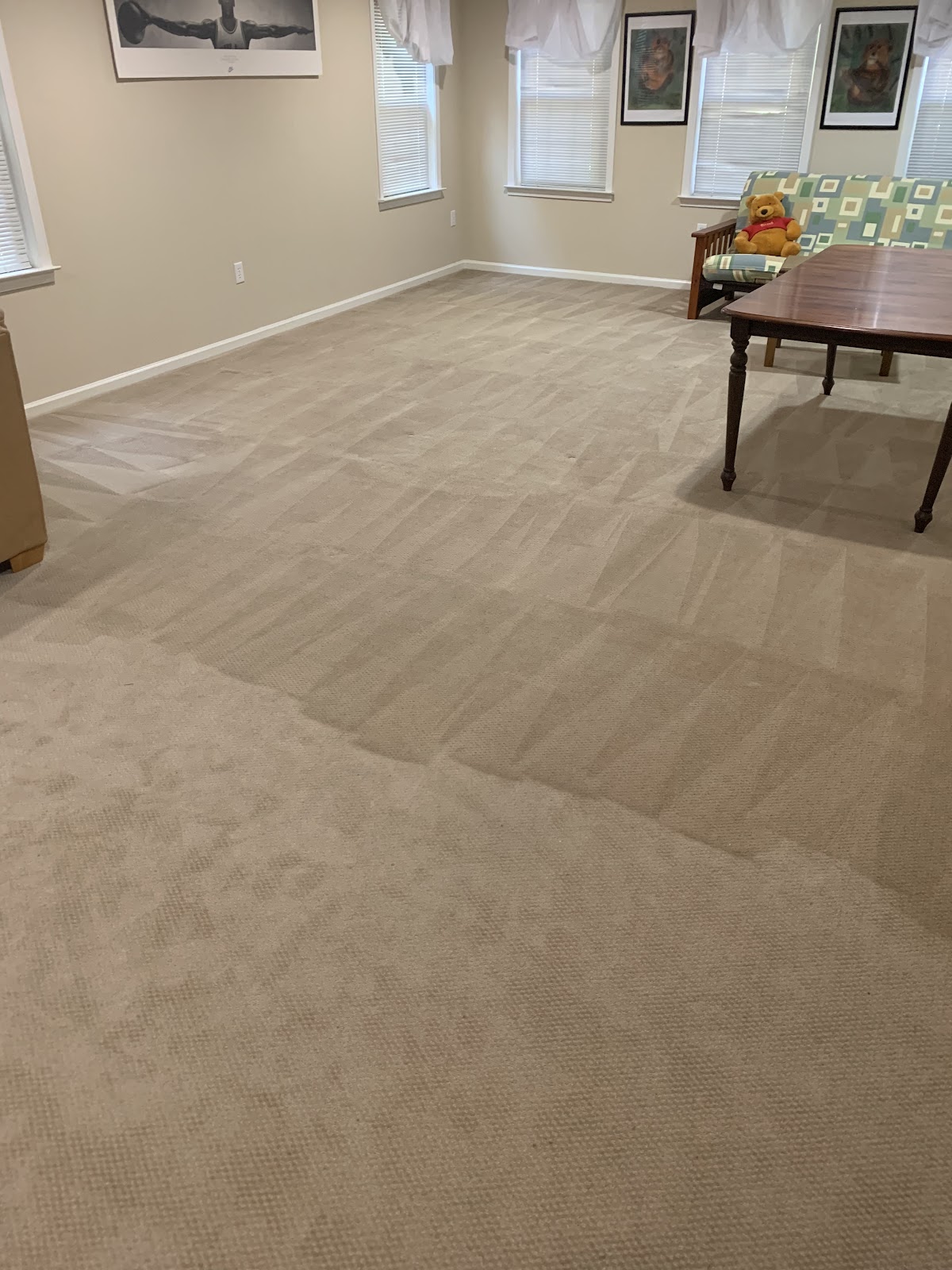 Dream Steam — wide bonus-room carpet showing uniform V-pattern vacuum strokes after steam extraction